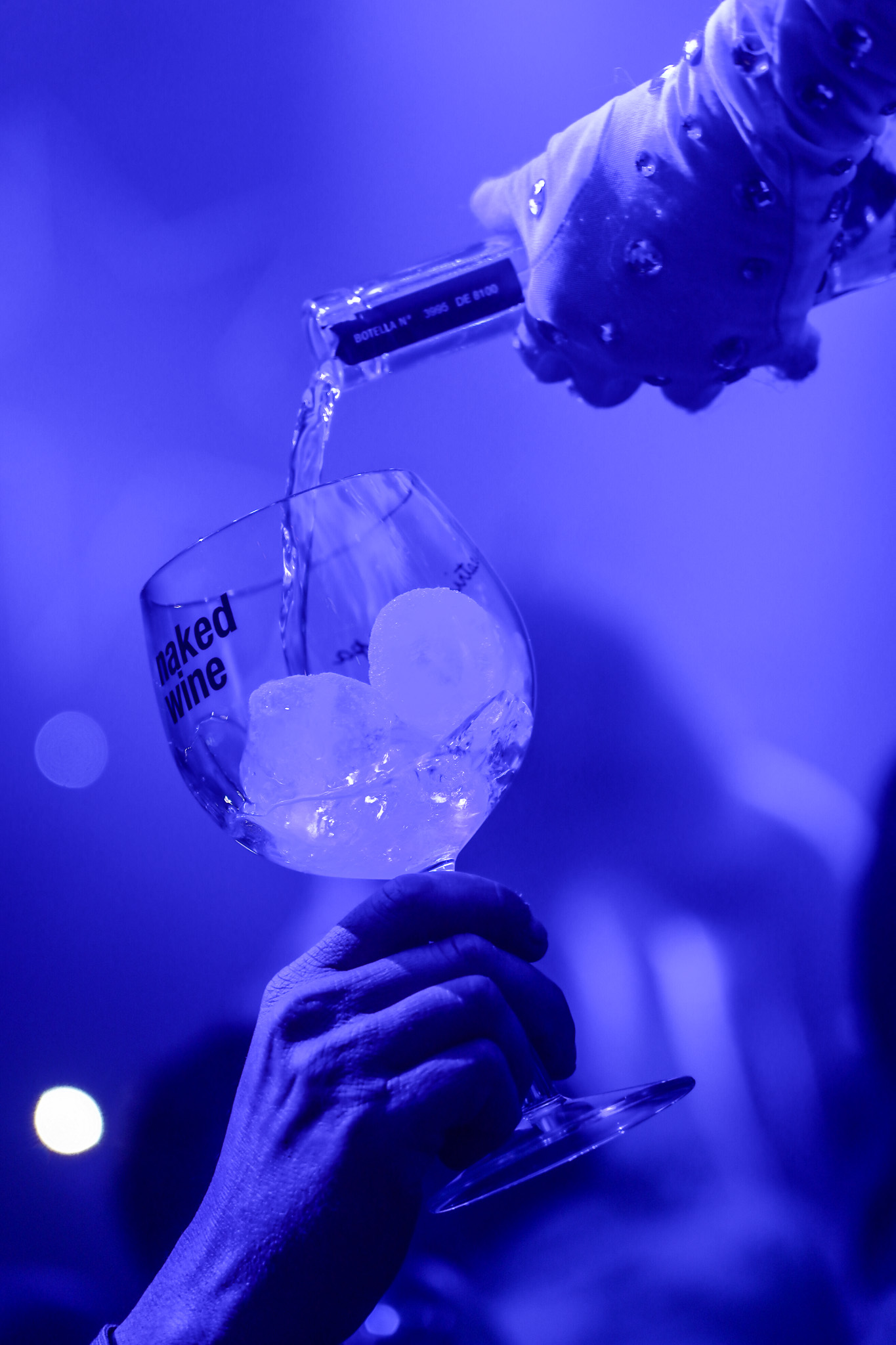 PERFORMANCES REINAS DEL HIELO